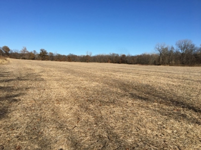 Tract 2: 94+/- Ac, Just North Avenue City School, Andrew Co - image 25