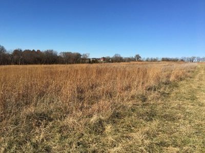 Tract 2: 94+/- Ac, Just North Avenue City School, Andrew Co - image 19
