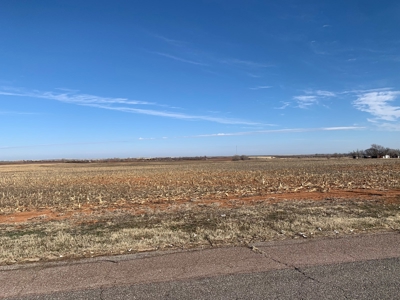 112 Acres of Farmland for Sale – Custer City, OK 73639 - image 5