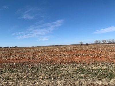 112 Acres of Farmland for Sale – Custer City, OK 73639 - image 7