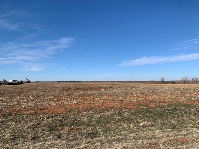 112 Acres of Farmland for Sale – Custer City, OK 73639 - image 6