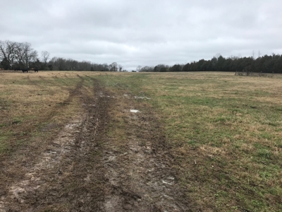 Farm and Ranch  Auction !! - image 20