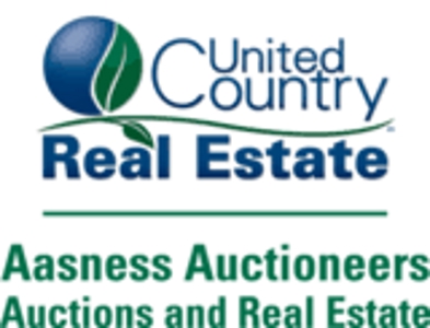 BATTLE LAKE REAL ESTATE AUCTION RESIDENTIAL HOME w/GARGAGE - image 1