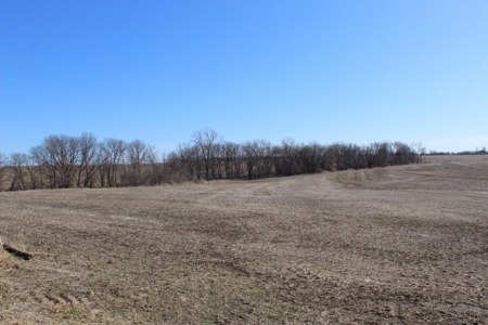 Highly Tillable Row Crop Farm Land Auction Saline County MO - image 34