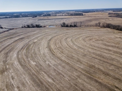 Highly Tillable Row Crop Farm Land Auction Saline County MO - image 10