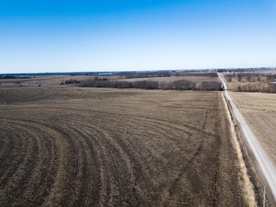 Highly Tillable Row Crop Farm Land Auction Saline County MO - image 4