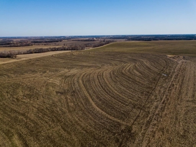 Highly Tillable Row Crop Farm Land Auction Saline County MO - image 14