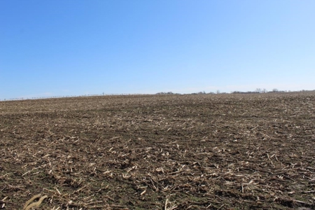 Highly Tillable Row Crop Farm Land Auction Saline County MO - image 17