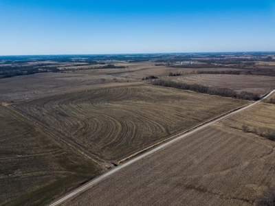 Highly Tillable Row Crop Farm Land Auction Saline County MO - image 5