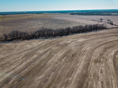 Highly Tillable Row Crop Farm Land Auction Saline County MO - image 9