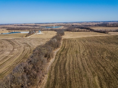 Highly Tillable Row Crop Farm Land Auction Saline County MO - image 13