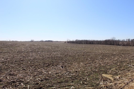 Highly Tillable Row Crop Farm Land Auction Saline County MO - image 20