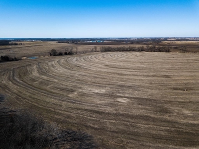 Highly Tillable Row Crop Farm Land Auction Saline County MO - image 7