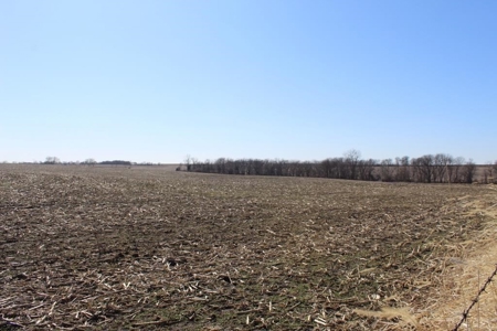 Highly Tillable Row Crop Farm Land Auction Saline County MO - image 15