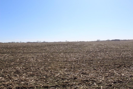 Highly Tillable Row Crop Farm Land Auction Saline County MO - image 16