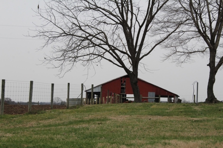22 Acre Warren County Farm and Home For Sale at Auction - image 6