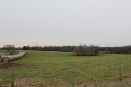 22 Acre Warren County Farm and Home For Sale at Auction - image 8