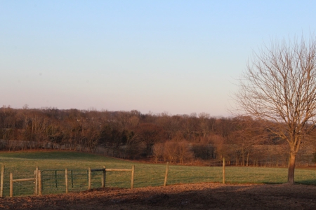 22 Acre Warren County Farm and Home For Sale at Auction - image 25