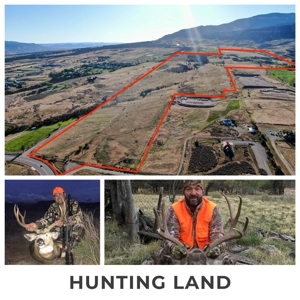 Trophy mule deer hunting, easy-access Colorado land for sale - image 12