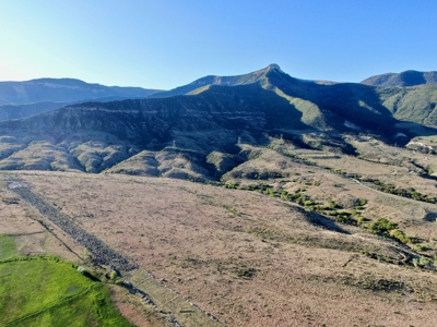 Trophy mule deer hunting, easy-access Colorado land for sale - image 11