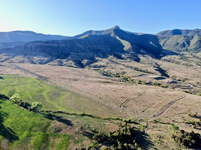 Trophy mule deer hunting, easy-access Colorado land for sale - image 10