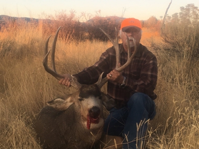 Trophy mule deer hunting, easy-access Colorado land for sale - image 6