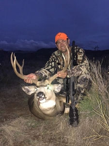 Trophy mule deer hunting, easy-access Colorado land for sale - image 4