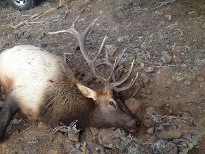 Prime elk hunting land for sale in Western Colorado - image 5
