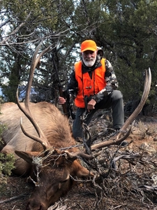 Prime elk hunting land for sale in Western Colorado - image 2