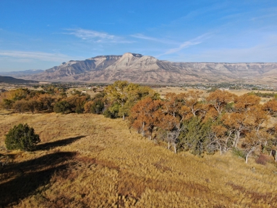 Prime elk hunting land for sale in Western Colorado - image 22