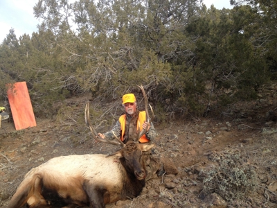 Prime elk hunting land for sale in Western Colorado - image 6