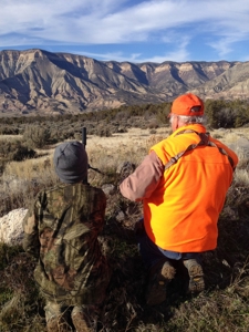 Prime elk hunting land for sale in Western Colorado - image 16