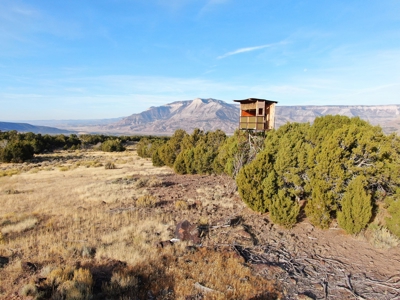 Prime elk hunting land for sale in Western Colorado - image 1