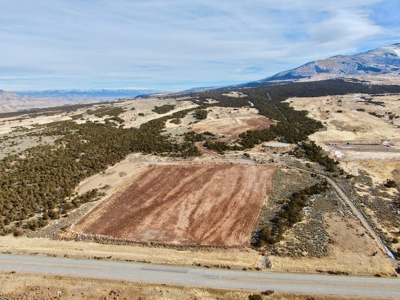 Old High School Hunting & Development Parcel For Sale - image 2