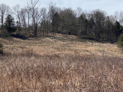 Hunting, Recreational, Cattle Farm, Timber & Land For Sale - image 19
