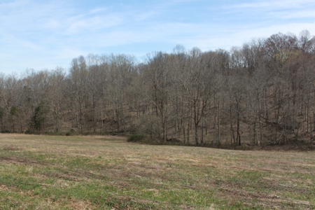 Hunting, Recreational, Cattle Farm, Timber & Land For Sale - image 16