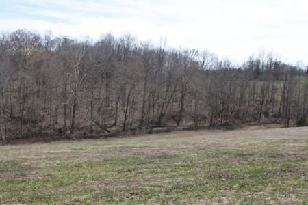 Hunting, Recreational, Cattle Farm, Timber & Land For Sale - image 15