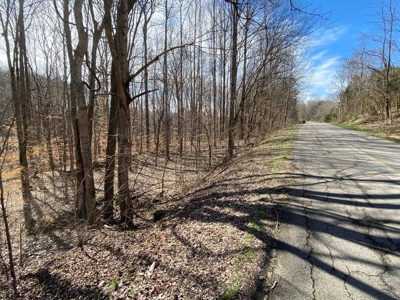 Hunting, Recreational, Cattle Farm, Timber & Land For Sale - image 22