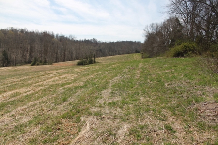 Hunting, Recreational, Cattle Farm, Timber & Land For Sale - image 4