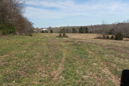 Hunting, Recreational, Cattle Farm, Timber & Land For Sale - image 17