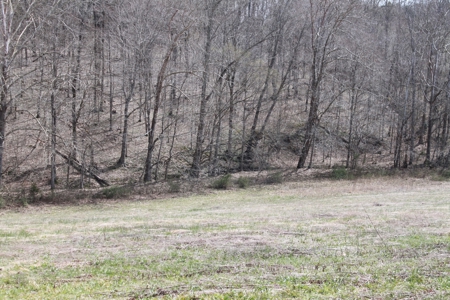 Hunting, Recreational, Cattle Farm, Timber & Land For Sale - image 14