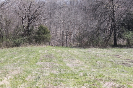 Hunting, Recreational, Cattle Farm, Timber & Land For Sale - image 9