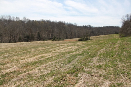 Hunting, Recreational, Cattle Farm, Timber & Land For Sale - image 5