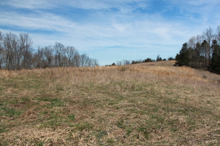 Hunting, Recreational, Cattle Farm, Timber & Land For Sale - image 11