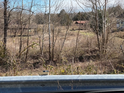Hunting, Recreational, Cattle Farm, Timber & Land For Sale - image 23