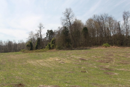 Hunting, Recreational, Cattle Farm, Timber & Land For Sale - image 6
