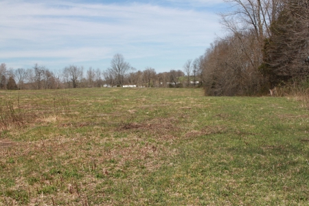 Hunting, Recreational, Cattle Farm, Timber & Land For Sale - image 13