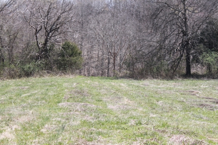 Hunting, Recreational, Cattle Farm, Timber & Land For Sale - image 8