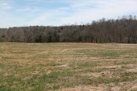 Hunting, Recreational, Cattle Farm, Timber & Land For Sale - image 3