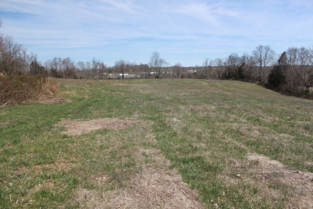 Hunting, Recreational, Cattle Farm, Timber & Land For Sale - image 7